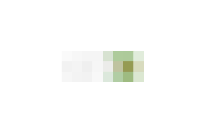  / #11