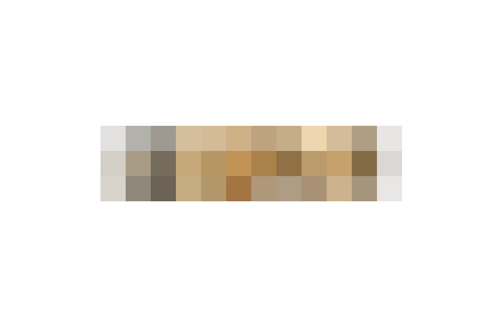  / #16