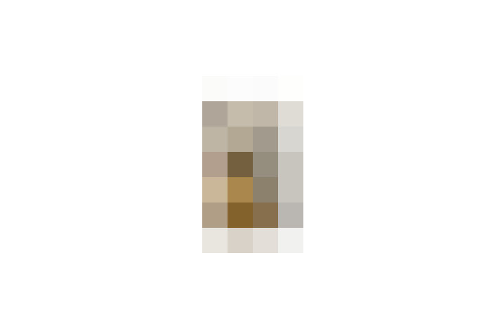  / #16