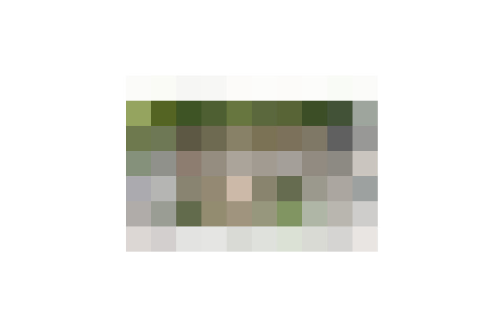 / #12