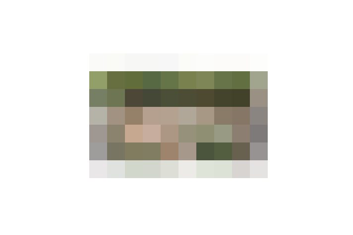  / #13