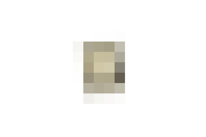  / #19