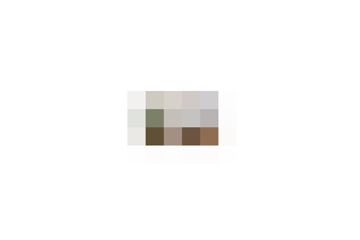  / #6