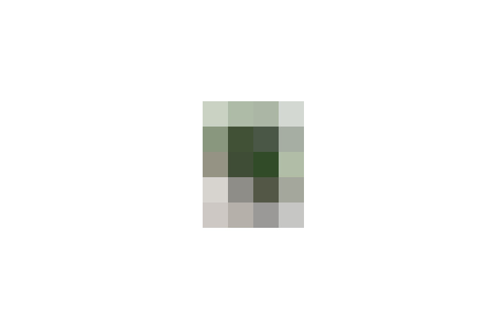 / #14