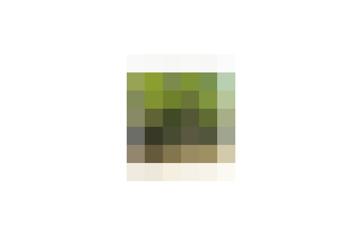  / #19