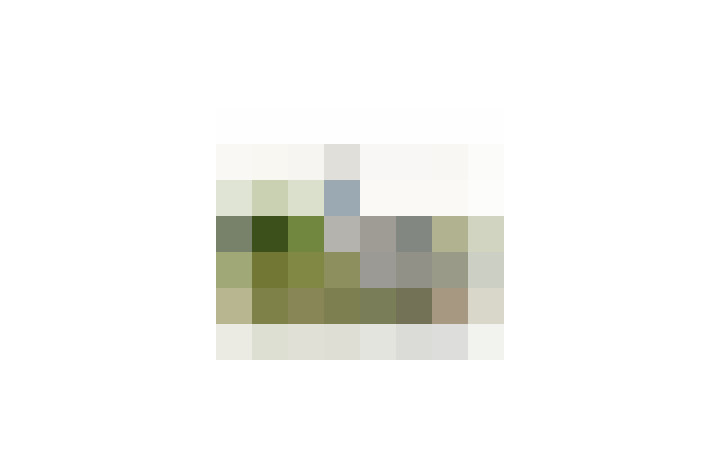  / #17