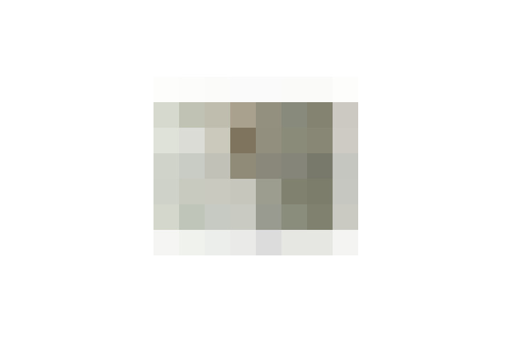  / #17