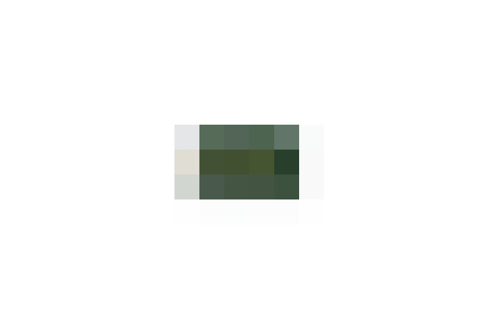 / #14