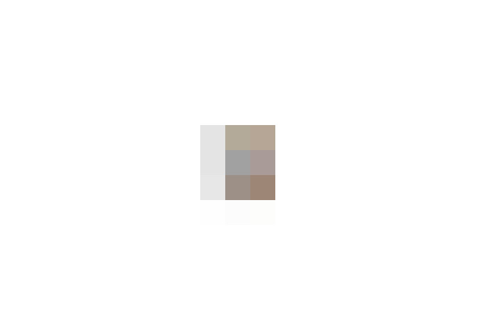  / #19
