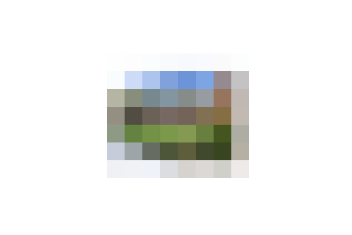  / #12