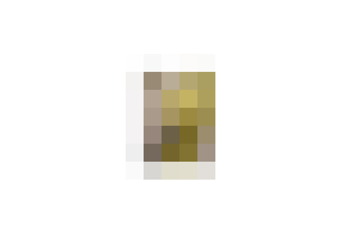  / #7