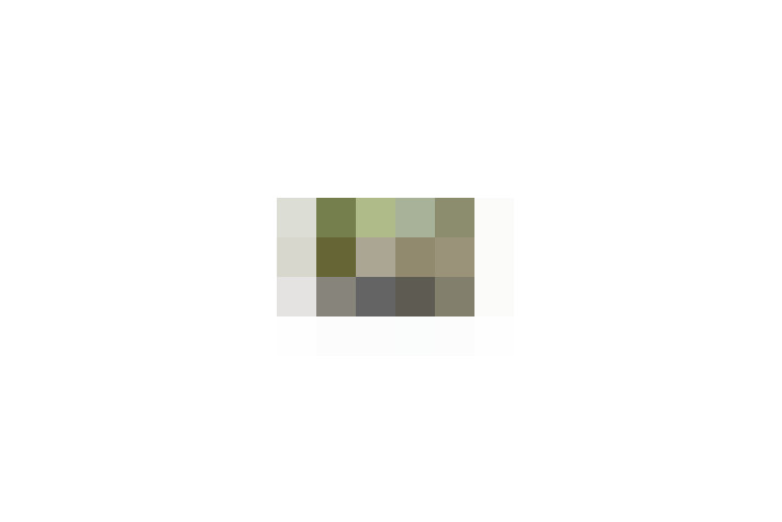  / #11