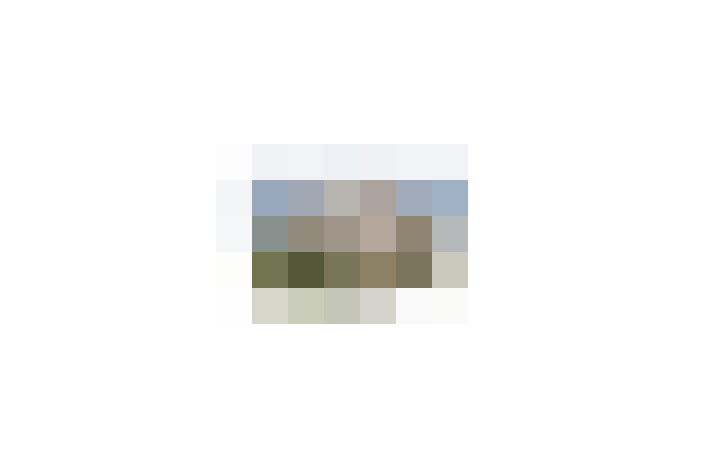  / #8