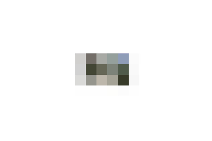  / #19