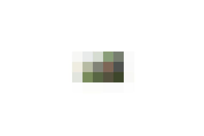  / #20