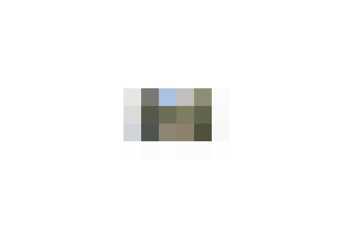  / #19