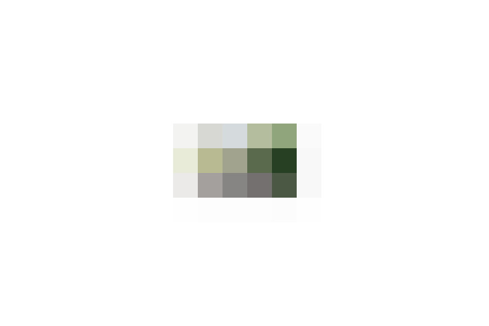  / #18
