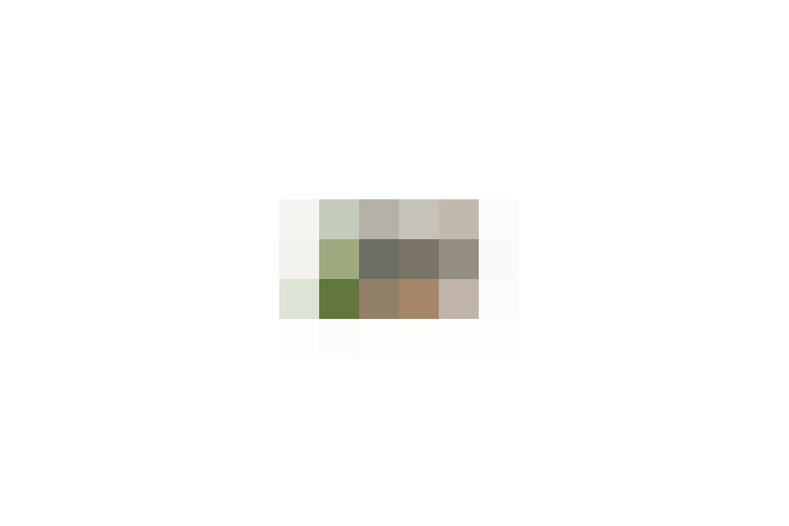  / #12