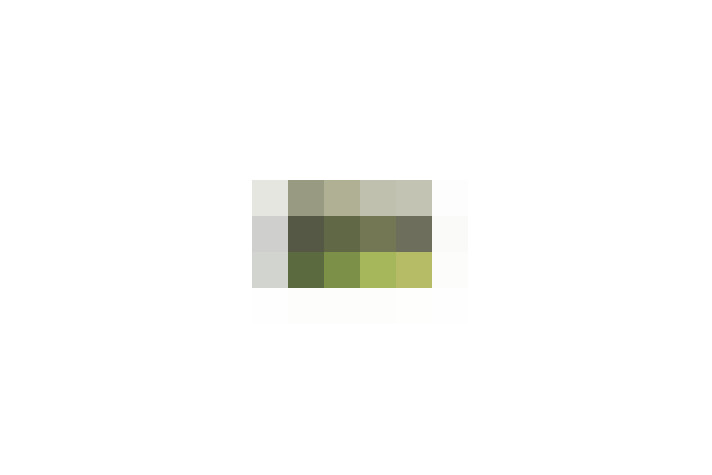  / #16