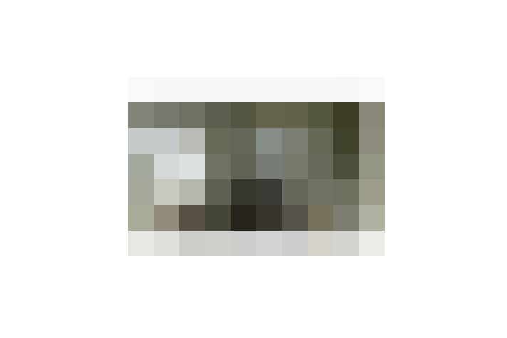  / #17