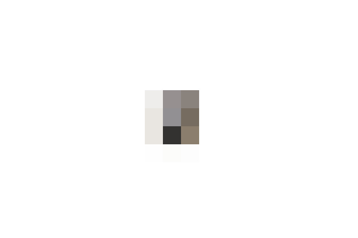  / #19