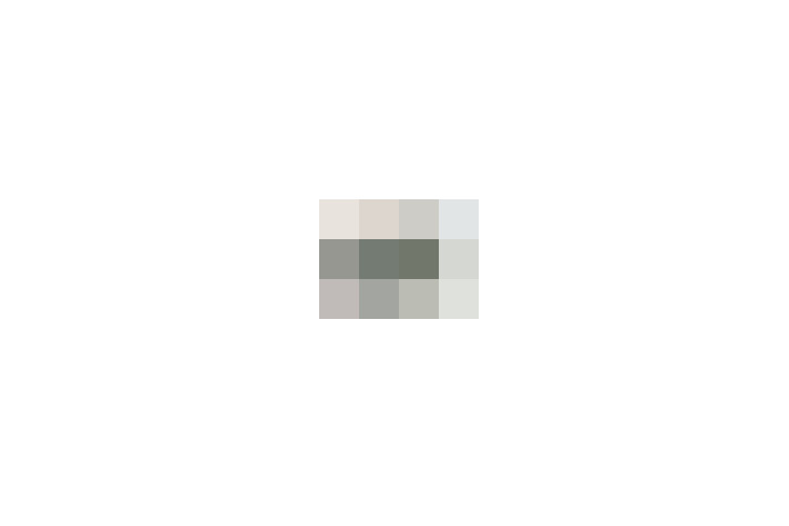  / #8