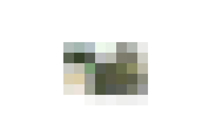  / #17