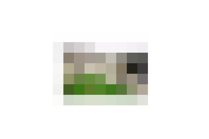  / #23