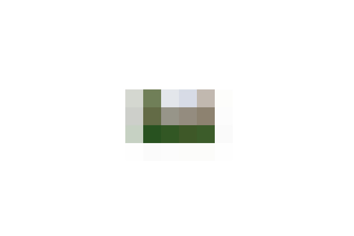  / #13