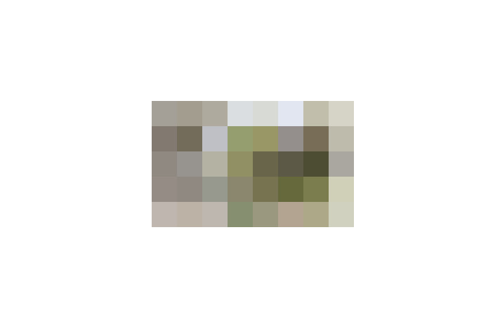  / #17
