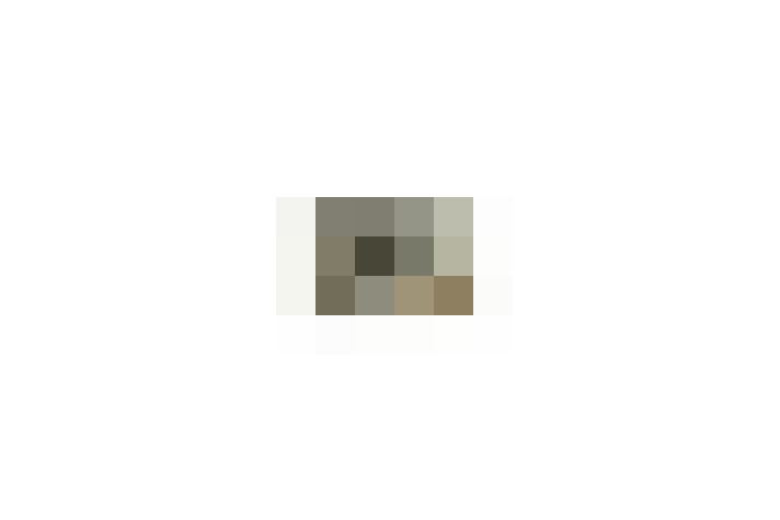  / #17
