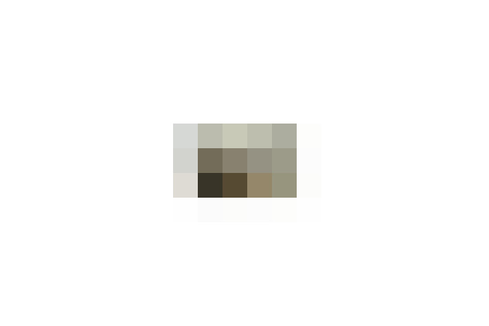  / #18