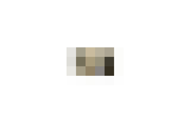  / #15