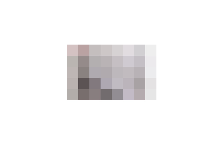  / #17