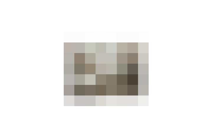  / #16