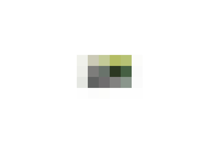  / #17