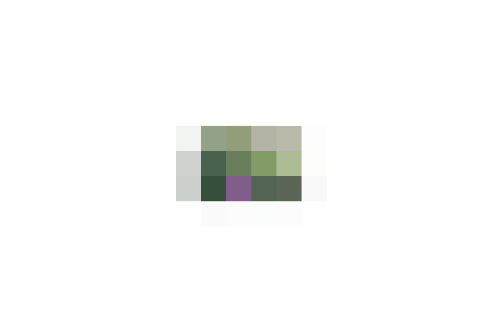 / #16