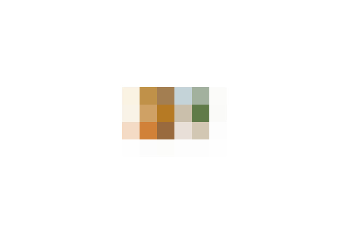  / #13