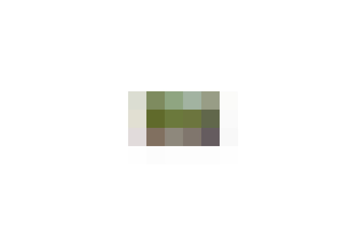  / #9