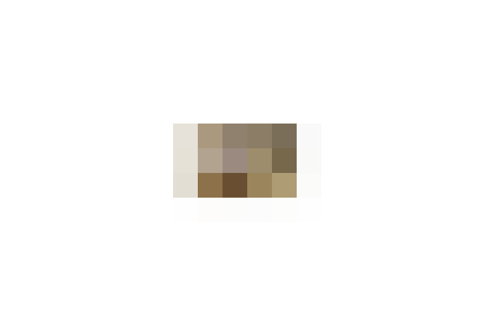  / #11