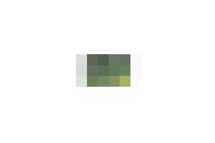  / #22