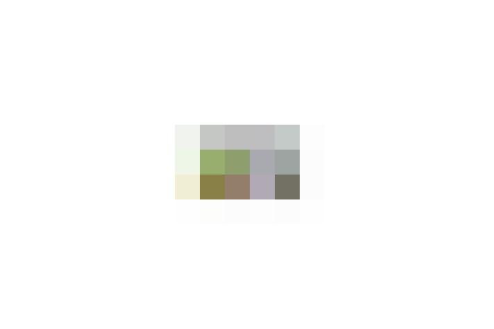  / #13