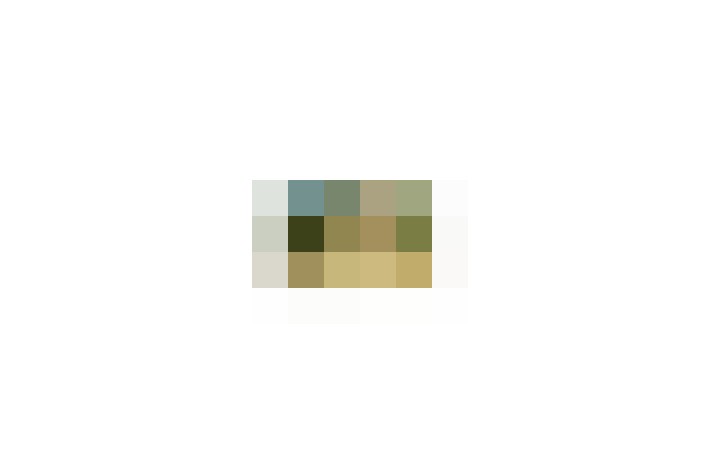  / #20
