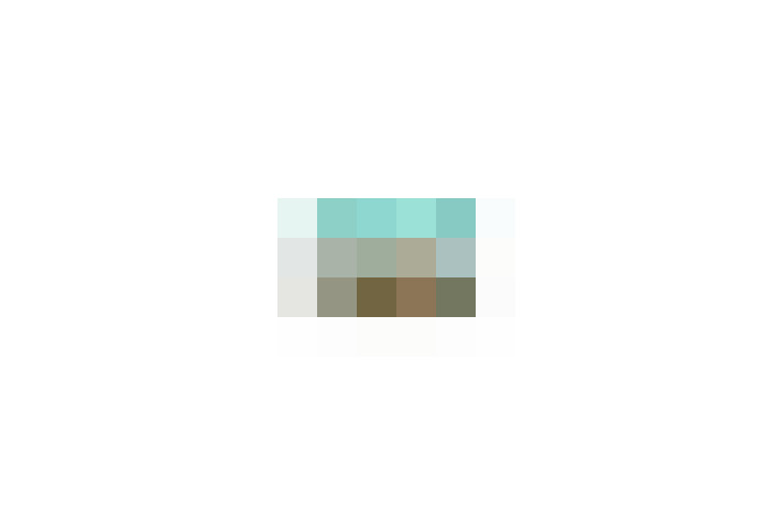  / #15
