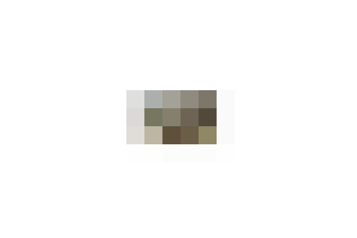  / #15