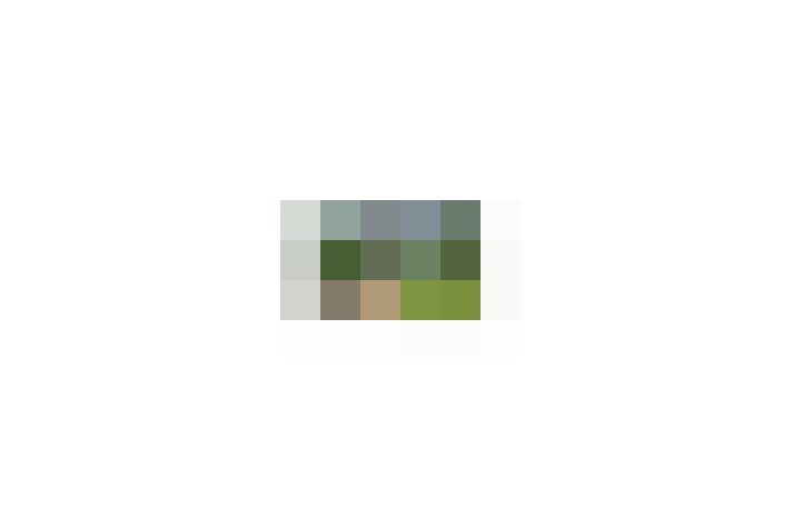  / #13