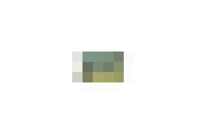  / #15