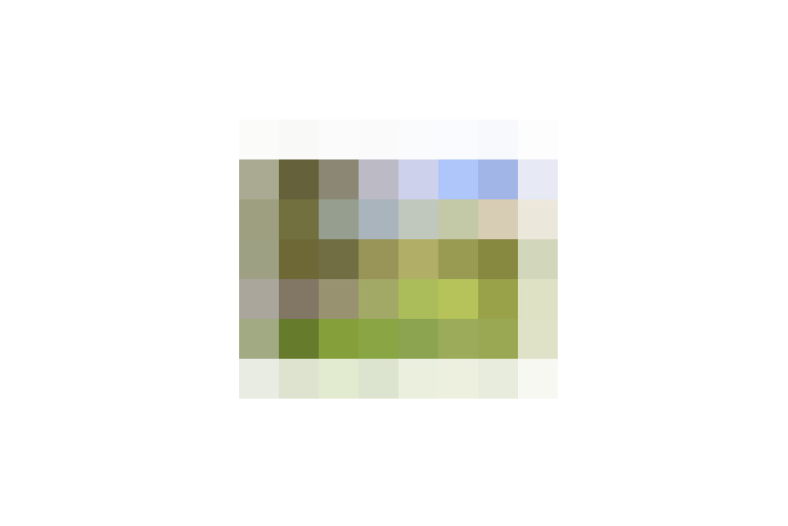  / #17