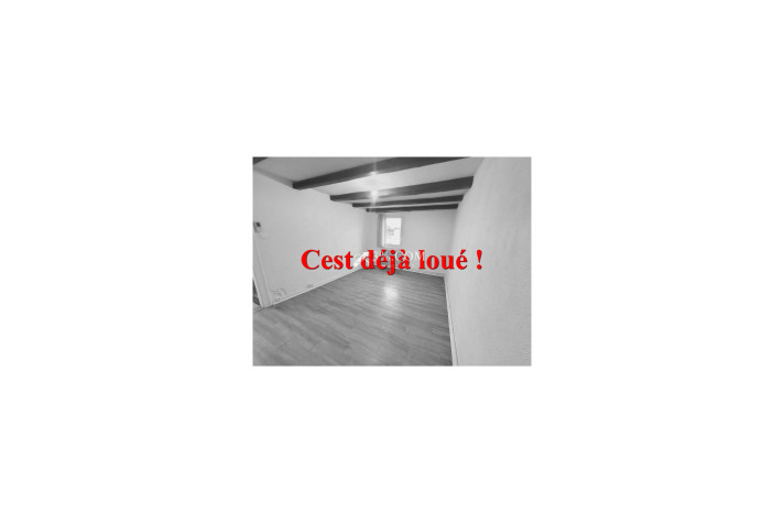 Voir la photo 1/2 du type apartment à Strasbourg