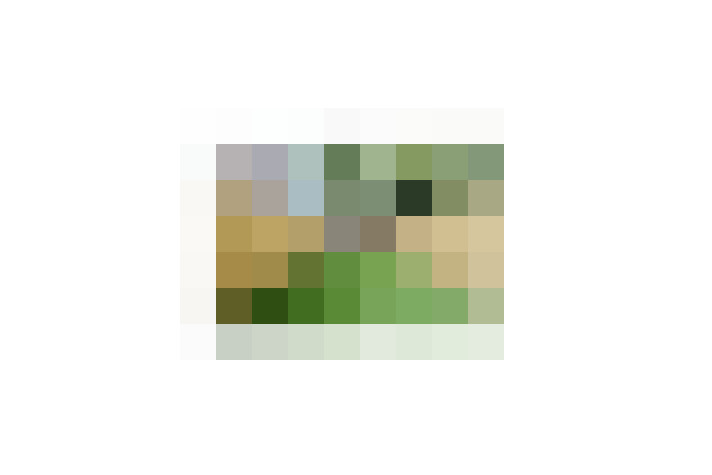  / #7